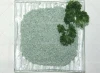 Popular green zeolite powder to remove toxic ammonia, phosphorus and other unwanted compounds from the recirculating water