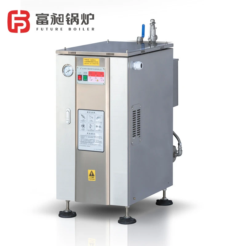 Portable Mini Electric Steam Boiler for Steam Ironing