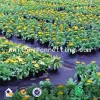 PP Fabric ground cover For Agriculture/Weed Control Mat