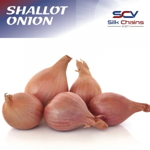 Premium Fresh Shallot Onion from Vietnam