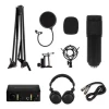 Professional Condenser Microphone Headphones Kit Podcast Recording Music Studio Equipment USB Audio Interface Sound Card Bundle