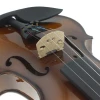Professional Customized String Instruments Hand Made Violin Student Violin
