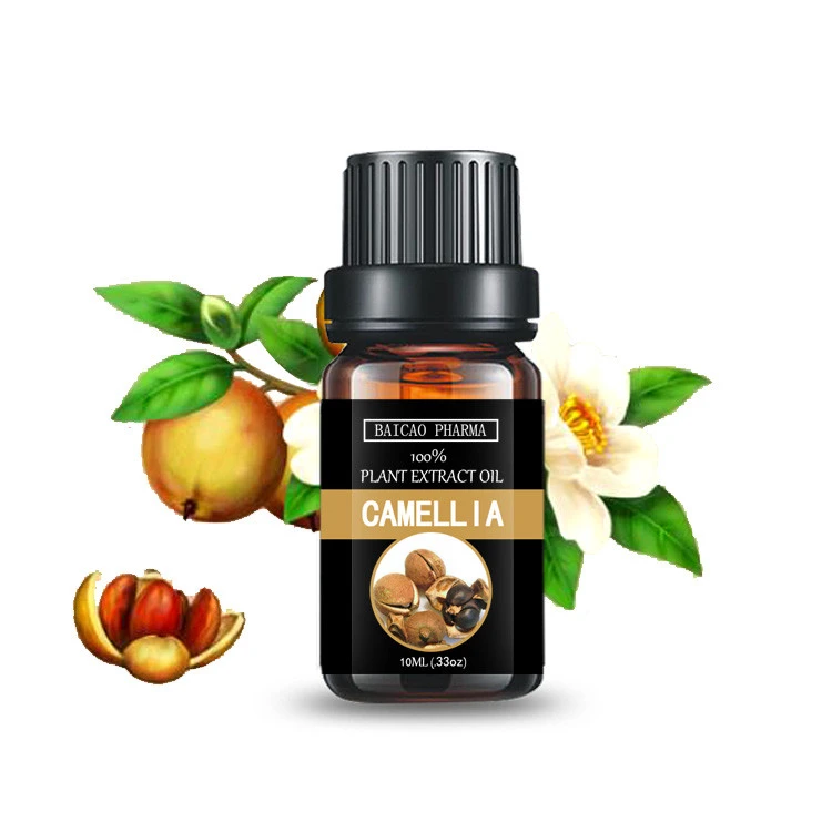 Pure Camellia Oil Tea Seed Oil