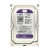 Purple 3.5&quot; HDD 1TB Hard Drive for Monitoring CCTV