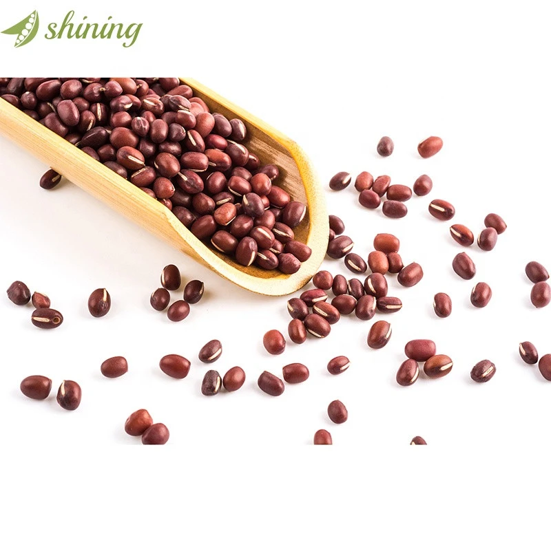 Qualities product most popular canned dried red adzuki beans