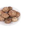 Quality assurance Bulk Dried Shiitake Flower Mushrooms with Green Food Certificate