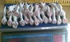 Quality Grade A Frozen Chicken Feet, Paws, Breast, Whole Chicken, Legs and Wings