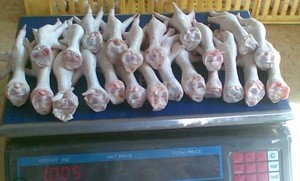 Quality Grade A Frozen Chicken Feet, Paws, Breast, Whole Chicken, Legs and Wings