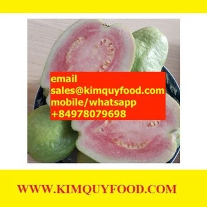 QUEEN GUAVA FRUIT from kimquyfood.com- The good farm for Queen Guava Fruit