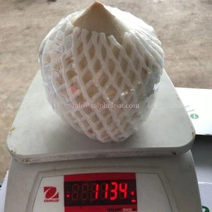 REAL YOUNG COCONUT DIAMOND SHAPE SUPER SWEET CHEAPEST PRICE!!