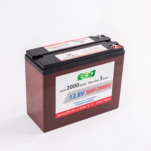 Rechargeable 12V 12.8V 30AH 33AH battery lithium polymer battery