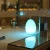 Import rechargeable egg light table lamp for seafood restaurant from China