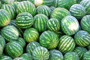 Red water melon for sales
