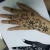 Import removable henna tattoo sticker tattoo sticker stencil from China
