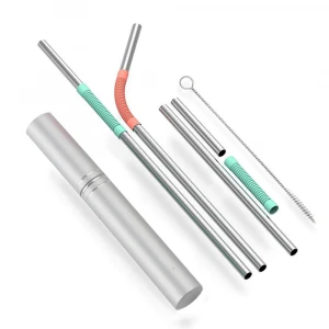 Reusable Metal and Silicone facile  Straw with Cleaning Brush and Case