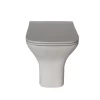 Rimless P-trap Dual Flush Washdown Back To Wall Pan Modern Ceramic Toilet  Sanitary Ware