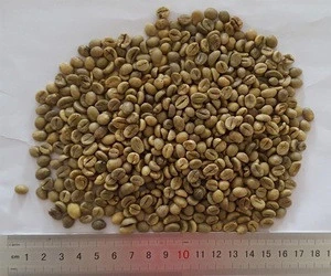 Robusta type green coffee beans,new crop,washed,polished grade AA 18