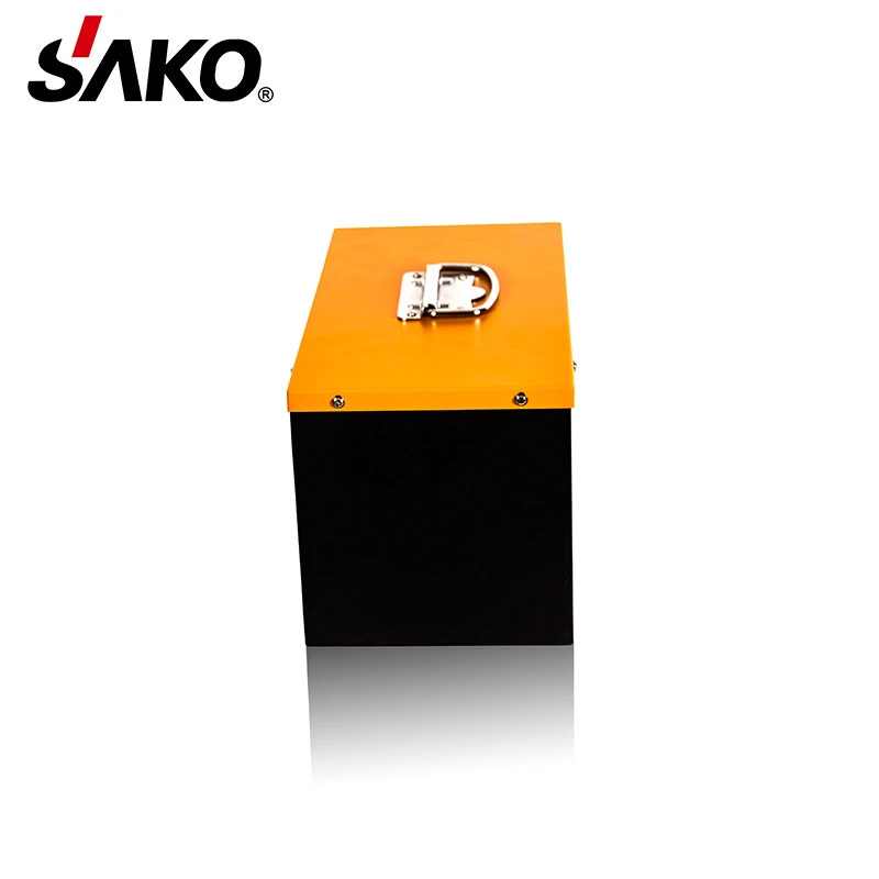 SAKO LiFePO4 12V100AH  Battery With 100A BMS With Battery Cabinet With  Equalizer Lithium Battery Solar Storage Factory