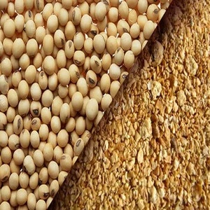 Sale corn gluten meal for 60% protein for sale,good quality bulk density soybean
