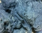 Sari Silk Fiber