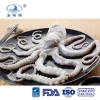 Seafood frozen long leg octopus price (Octopus variabilis)