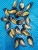 Import Seafood Shellfish Frozen Half  Mussels from China