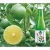 Import Seasonings Fresh-Squeezed Fruity Private Label Fruit Japanese Food Drink from Japan