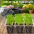 Import Seed Sprouter Tray Hydroponics Nursery Tray Seed Flower Vegetable Seed Grow Box from China