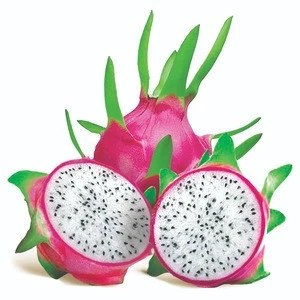 SELL FRESH DRAGON FRUIT - BEST PRICE AND GOOD QUALITY