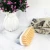 Import Sell Well New Type Laundry Brush with PP Handle Home Clothes Brush from China