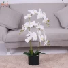 Silk artificial orchid bonsai for sale artificial orchid plants for decoration high quantity potted orchid