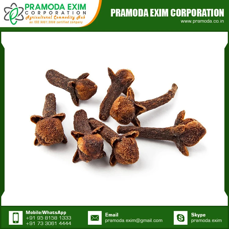 Single Clove Spice Seeds Supplier India