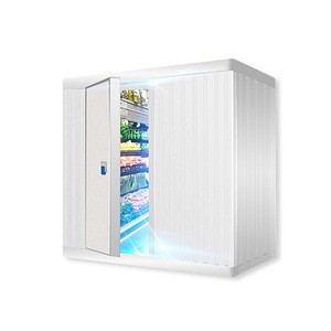 SKD Format Fruit Cold Room Walk In Freezer/Refrigerator/Chiller Storage Refrigeration Equipment