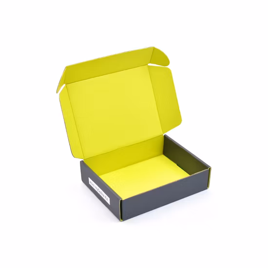 Custom FSC Corrugated Board Carton Box Make up Tools Facial Cleanser Set Cosmetic Shipping Mailer Folding Box
