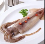 Squid,Sea food Frozen -fish whole squid