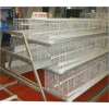 SSD animal use cage laying hens for sale