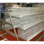 SSD animal use cage laying hens for sale