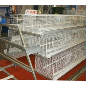 SSD animal use cage laying hens for sale