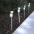 Import Stainless Steel outdoor Solar Garden Light from China