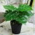 Import Stylish Wholesale Artificial Plant Plastic Plant Indoor Decoration Pot For Fake  Plants Plastic from China