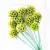 Import Summer Flora  factory direct supply preserved scabious small bunch windmill fruit for decorative flowers from China