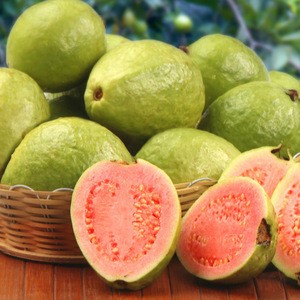 Sweet Guava / Best Sale Price Fresh Sweet Guava