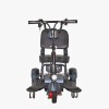 Three Wheel Disabled Electric Mobility Scooter (TC-011)