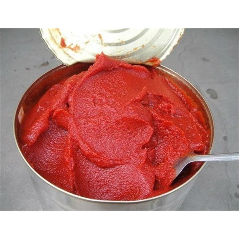 Tomatoes Paste Can  Hight Quality Cheaper price Ready To Serve Food  Origin Thailand