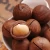 Import top grade macadamia nuts with shell high quality macadamia nuts from China