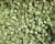 Import Top Quality Alfafa Hay for Animal Feeding Stuff Alfalfa from Canada