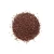 Import Top Quality Black and Yellow Mustard Seeds from South Africa