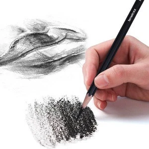 TW5550 - Professional charcoal sketching and painting pencil with medium softness for art drawing set