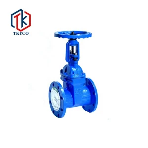 Tyco China Manufacturer DN50 Cheap Cast Iron Cast Steel Resilient Seated Rising Stem Gate Valve