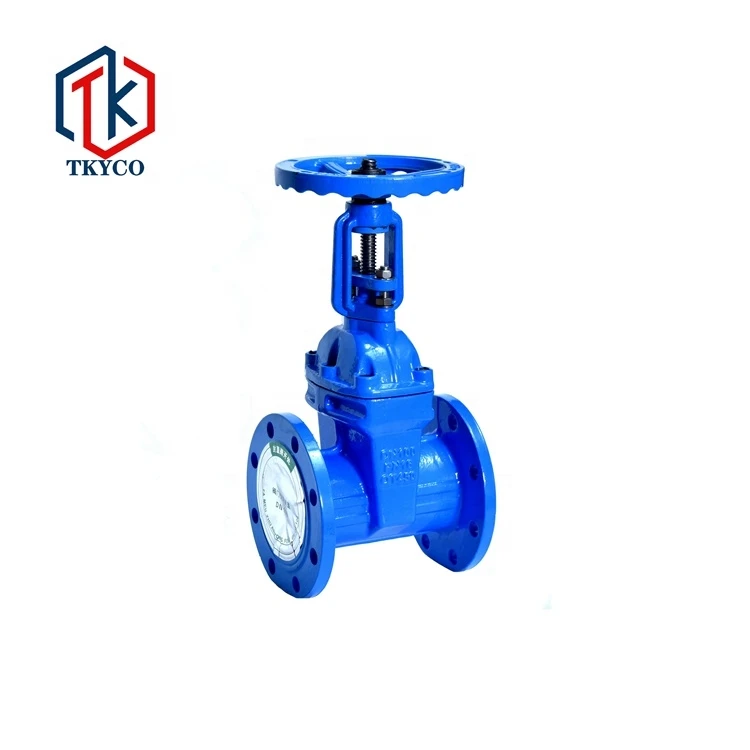 Tyco China Manufacturer DN50 Cheap Cast Iron Cast Steel Resilient Seated Rising Stem Gate Valve